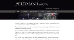 Desktop Screenshot of feldmanlawyers.ca